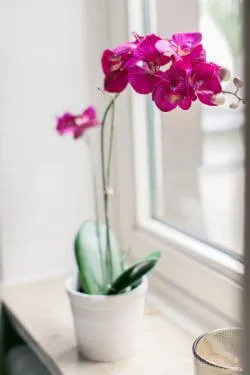 Praxisimpression – Atmosphäre